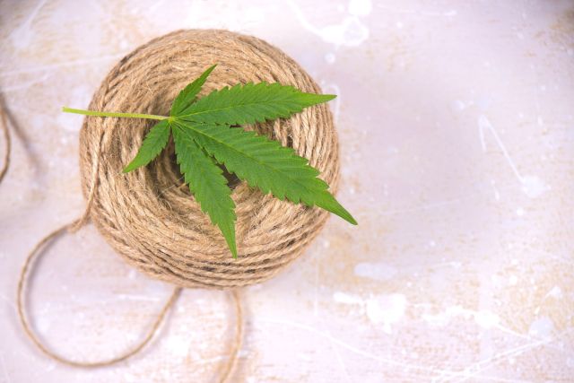 Hemp rope and marijuana leaf. hemp, marijuana, weed, recovery
