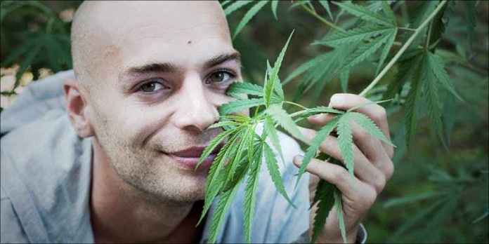 Cannabis and cancer