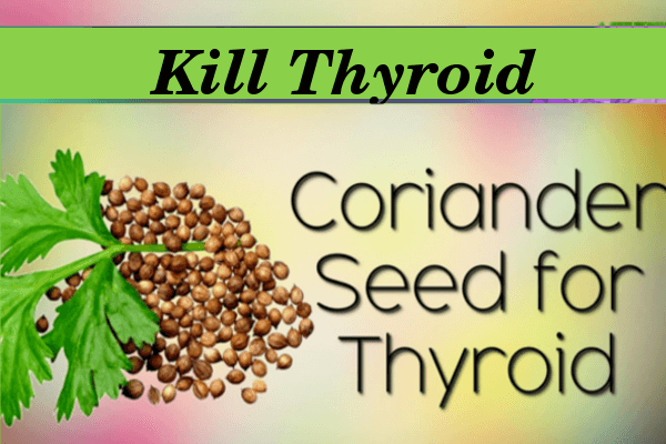 kill Thyroid with Coriander Seeds kill Thyroid with Coriander Seeds
