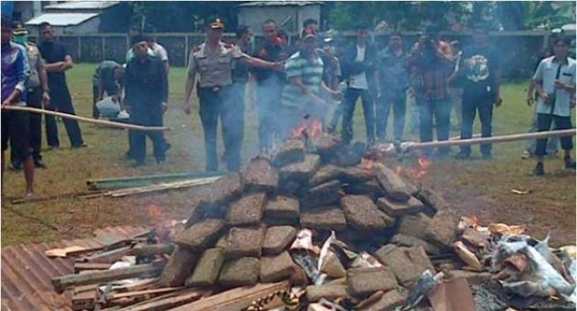 Officials Burn 3 Tons Of Cannabis, Didn't Think It All The Way Through