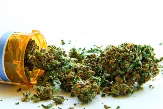 Medicinal Marijuana is safe Medicinal Marijuana