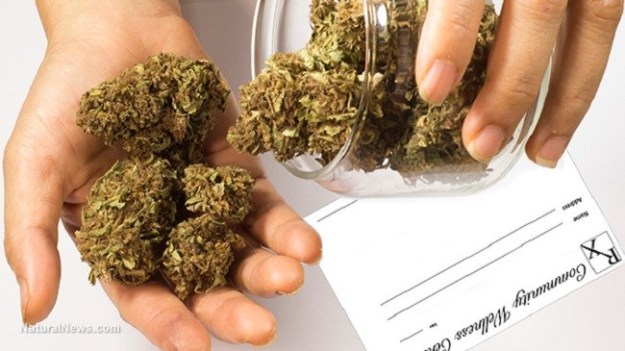 medicinal marijuana1 medicinal marijuana