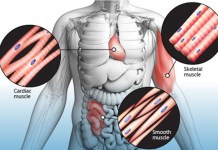 5 Things You Didn’t Know about Fibromyalgia